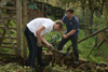 making leaf compost